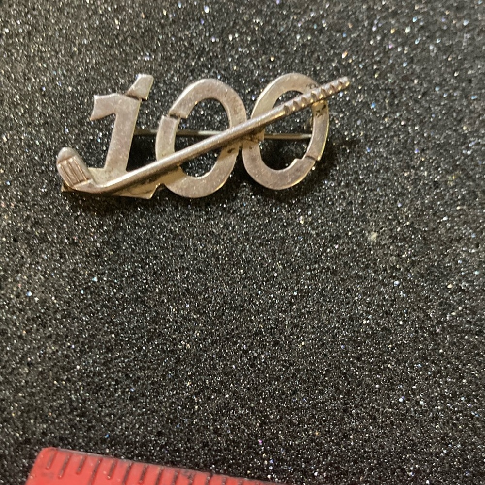 Silver 100 Pin